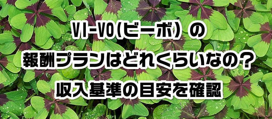 VI-VO(ビーボ)の報酬プランはどれくらいなの?収入基準の目安を確認