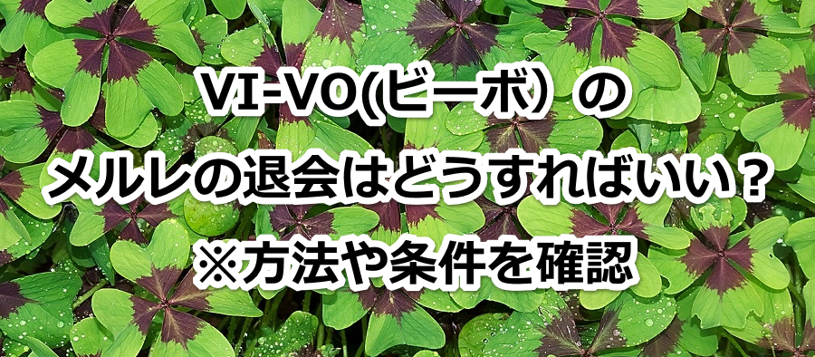 VI-VO(r[{j̃̑މ͂ǂ΂H@mF